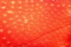 Filling background delicious backdrop. Sweet strawberry texture. photo