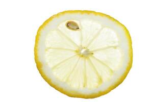 Fresh isolated lemon slice with bone photo