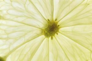 Lemon slice nature pattern filling background photo