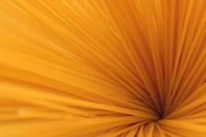 Spaghetti bunch texture. Macaroni backdrop. Pasta filling background. photo