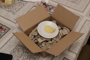 Open box with crumpled paper and plate with one crisp photo