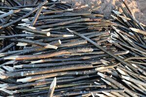 Many wood stakes filling background. Lot pointed branches. photo