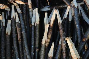 Many wood stakes filling background. Lot pointed branches. photo