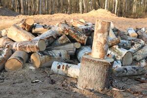 Log for split stump with many logs on background. photo