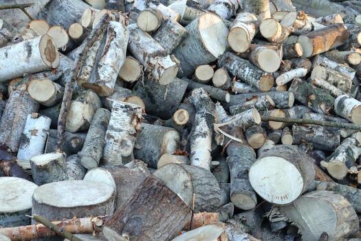 Many logs piled up background photo