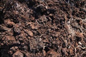 Dirt backdrop. Ground background. Loose soil texture. photo