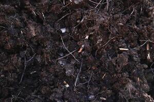 Dirt backdrop. Ground background. Loose soil texture. photo