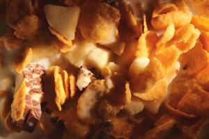 Cornflakes with chocolate sliced banana and milk in sun light. Filling background. Macro close-up. photo