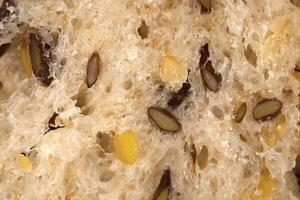 Flax seeds bread crumb texture. Diet food background. Fief grains bread crumb surface. photo