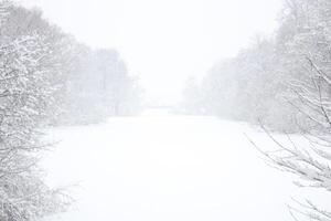 Landscape of a winter lake stretching into the distance with a forest along the edges under a thick layer of snow in a snowfall photo