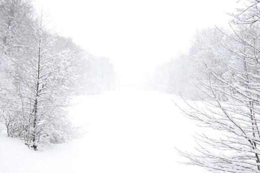 Landscape of a winter lake stretching into the distance with a forest along the edges under a thick layer of snow in a snowfall photo