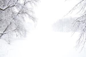 Landscape of a winter lake stretching into the distance with a forest along the edges under a thick layer of snow in a snowfall photo