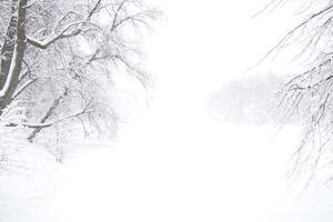 Landscape of a winter lake stretching into the distance with a forest along the edges under a thick layer of snow in a snowfall photo