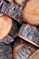 Tree rings sections texture. Tree trunk backdrop. Wooden timber pieces background. photo