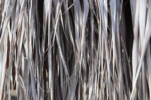 Dried Palm Tree Leafs Texture. Dry Palm Leafs Background. photo