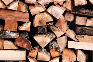 Timber butts stack texture. Lumber planks pile background. Wooden logging backdrop. photo
