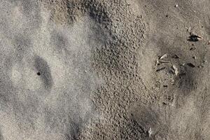 Dry to wet sand transition texture. Summer beach background. photo