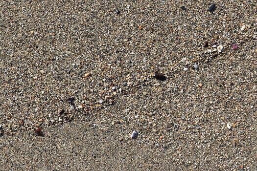Sand with shells texture. Summer beach background. photo