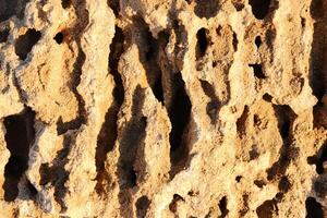 textured nature stone pattern surface. photo