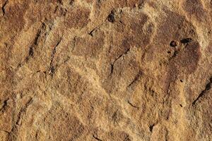 Brown detailed rock background texture. photo