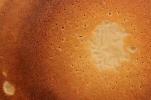 Backed tasty detail pancake background texture. Macro closeup. photo