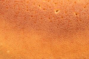 Clean Backed traditional desert pancake pattern texture. Macro closeup. photo