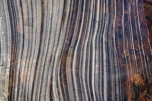 Ice Lines Pattern Surface Background Texture. Wavy Drawings of I photo