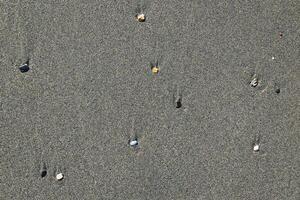 raro Guijarro antecedentes. diferente piedras con manchas en el mojado arena. playa belleza fondo. foto