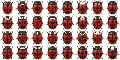 Isolated Beetle Collection Background. Many Bugs Wildlife Surface. Macro Closeup. 3D Illustration. 3D Rendering. photo