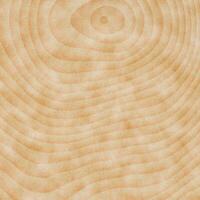 Tree stump fibers background. Wooden stub circles backdrop. Timber rings surface. Wood saw cut texture. photo