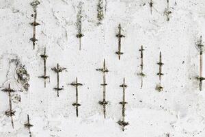 Birch tree bark texture. White trunk tree with lines background. photo