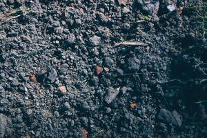 Brown soil agriculture background. Earth textures rough agriculture backdrop. Ground texture. photo