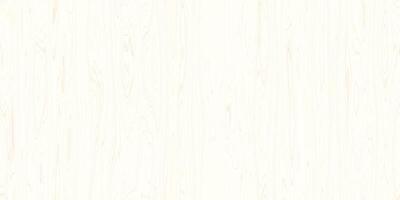 Seamless White Wood Texture. Vertical across tree fibers direction photo