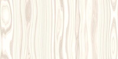 Seamless White Wood Texture. Vertical across tree fibers direction photo