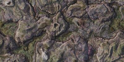 Rock hills field landform from above view backdrop. Landscape topography top view texture. 3D geography mountain district map atop background. photo