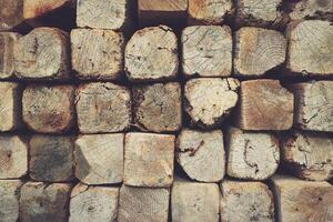 Rough grunge wooden background. Timber butts texture. photo