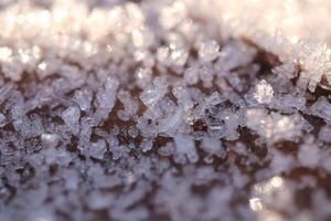 Frosted Dry Leaf Surface Texture. Frost Ice on Forest Morning. Natural Floral Pattern Background. Macro Closeup. photo