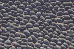 Lot of white masonry cladding pebble texture. Stones pattern background. photo