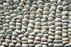 Stones pattern background. Lot of white masonry cladding pebble texture. photo