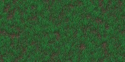 Rare grass texture. Field background. Park lawn pattern. Textured meadow backdrop. photo