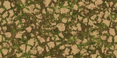 Cracked ground with moss seamless texture. Dry land with grass background. Ecology terrain backdrop. Summer desert with mossy cracks surface. Hot grunge weather climate pattern. photo