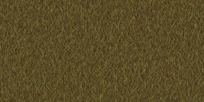 Textured meadow backdrop. Dry grass texture. Field background. Park lawn pattern. photo