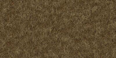 Park lawn pattern. Textured meadow backdrop. Dry grass texture. Field background. photo