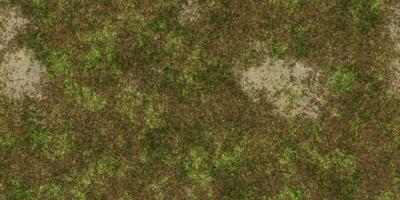 Dry glade land with grass seamless background. Ecology terrain backdrop. Summer desert with mossy cracks surface. Hot grunge weather climate pattern. Cracked ground with moss texture. photo