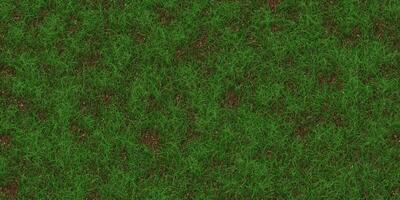 Rare textured meadow backdrop. Grass texture. Field background. Park lawn pattern. photo