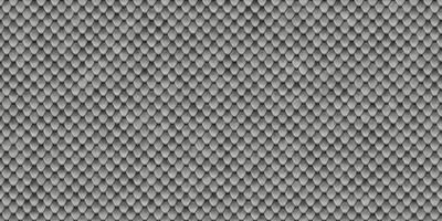 Grey reptile skin background. Reptilian scale pattern. Snakeskin surface. Dangerous wildlife backdrop. Snake leather seamless textures. photo