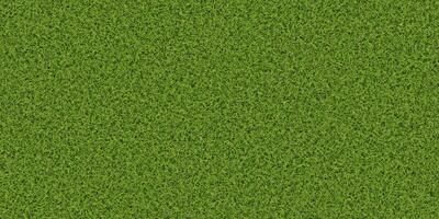 Dense lush park lawn pattern. Textured meadow backdrop. Grass texture. Field background. photo