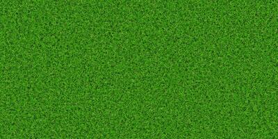 Dense lush grass texture. Field background. Park lawn pattern. Textured meadow backdrop. photo