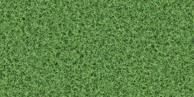 Dense lush textured meadow backdrop. Grass texture. Field background. Park lawn pattern. photo