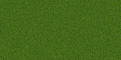 Dense lush park lawn pattern. Textured meadow backdrop. Grass texture. Field background. photo